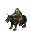 Wolf Raider Wolf Raider