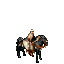 Nomad Nomad